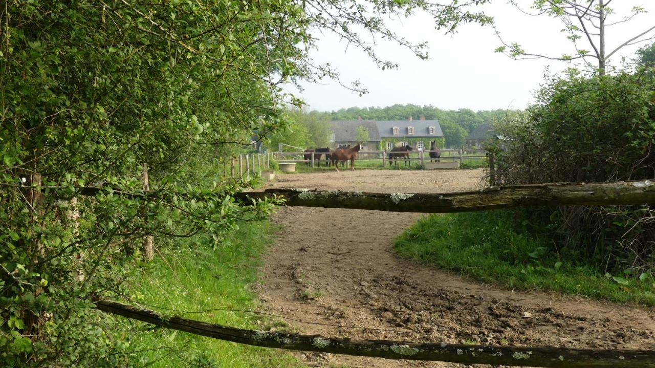 La Petite Lande Bed & Breakfast Ménil Eksteriør bilde