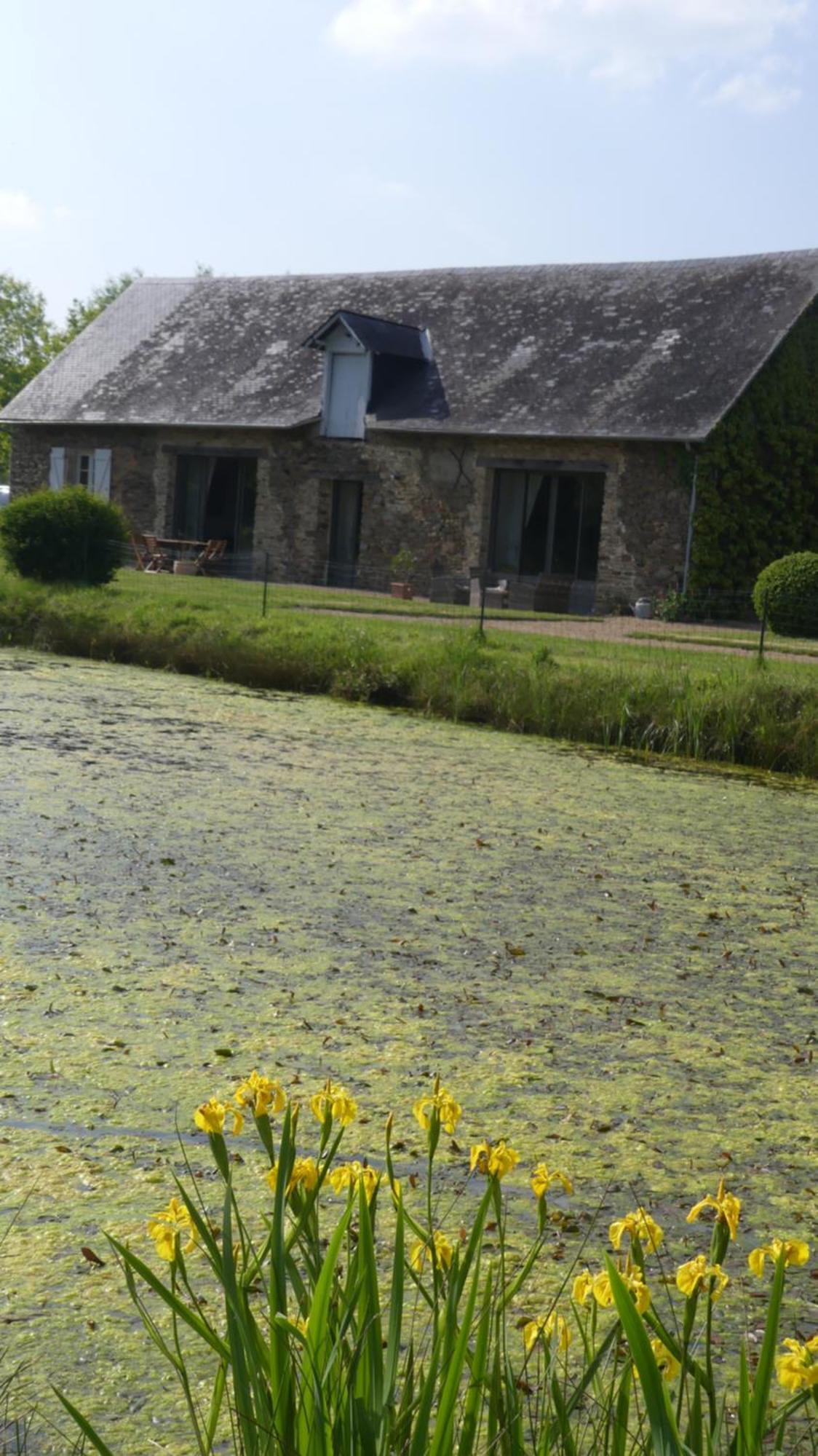 La Petite Lande Bed & Breakfast Ménil Eksteriør bilde