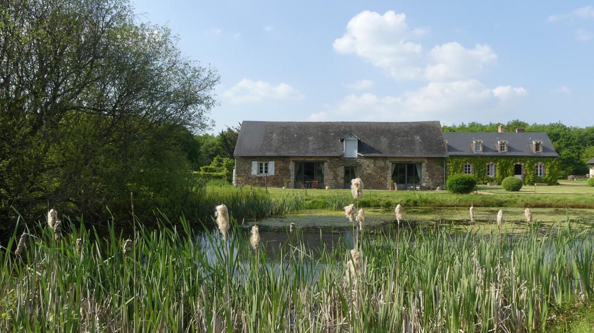 La Petite Lande Bed & Breakfast Ménil Eksteriør bilde