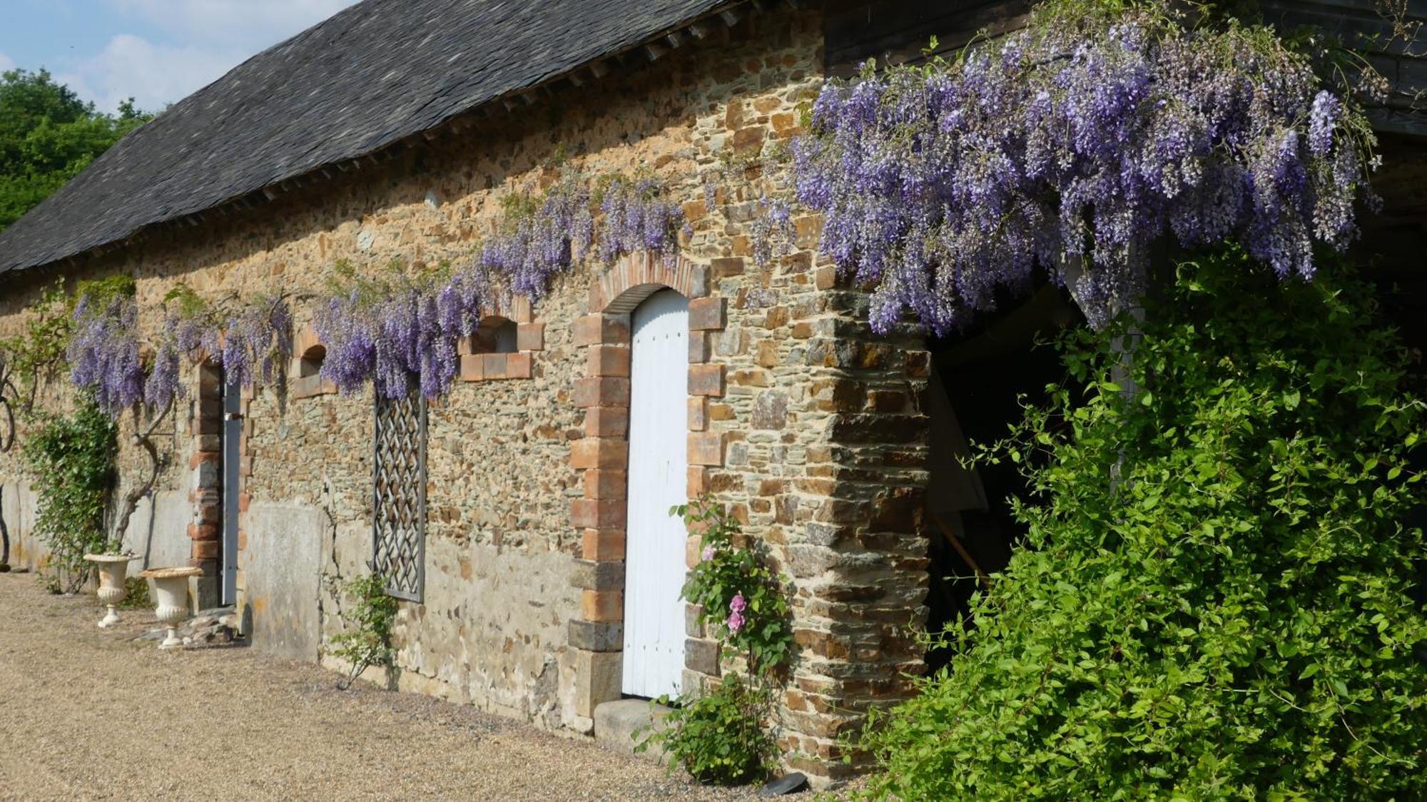 La Petite Lande Bed & Breakfast Ménil Eksteriør bilde